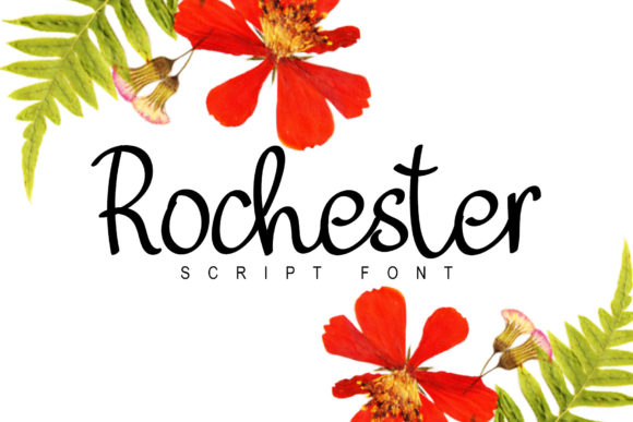 Rochester: A Delicate Script for Elegant Design